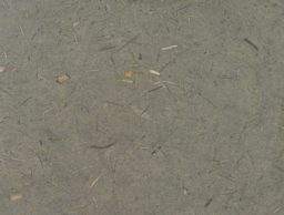 Thai Banana Paper - Full sheet of Clay color paper 