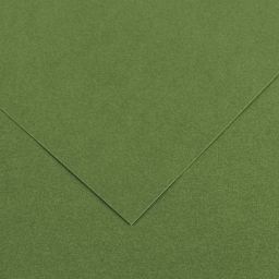Canson Colorline Art Paper - 19" x 25", 150 gsm, Khaki Green