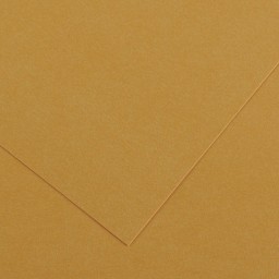 Canson Colorline Art Paper - 19" x 25", 150 gsm, Leather