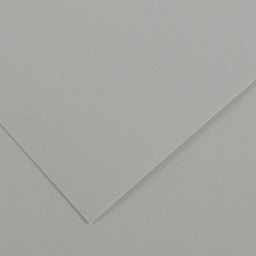 Canson Colorline Art Paper - 8-1/2" x 11"", 150 gsm, Pebble Gray