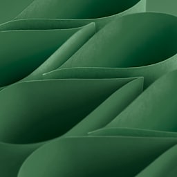 Blick Premium Colored Art Paper - 19-1/2" x 27-1/2", Dark Green, Single Sheet, curved sheets