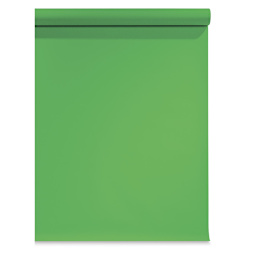 Seamless Background Paper - 53" x 36 ft, Stinger Green