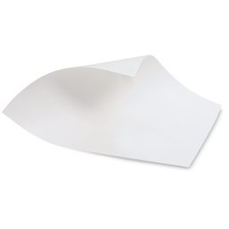 Strathmore 400 Series Bristol Board - 22" x 30", 4 Ply, Vellum