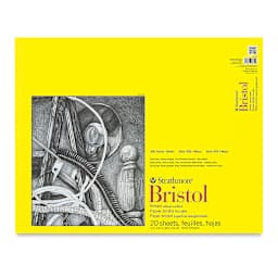 Strathmore 300 Series Bristol Pad - 19" x 24", Vellum, 20 Sheets