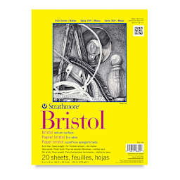 Strathmore 300 Series Bristol Pad - 9" x 12", Vellum, 20 Sheets