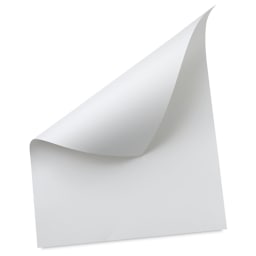Strathmore Bristol Board - 22 1/2" x 28 1/2", Vellum, Sheet