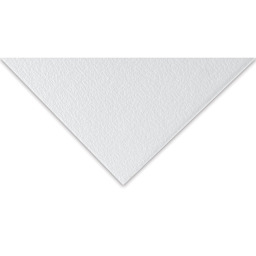 Canson C' a Grain Art Board - 20" x 30", White