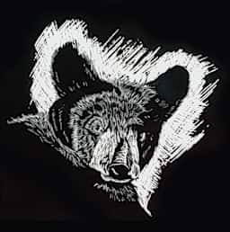 Scratch-Art Scratchboard