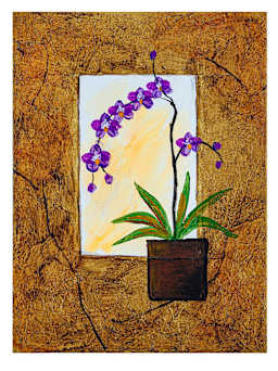 Orchids Image