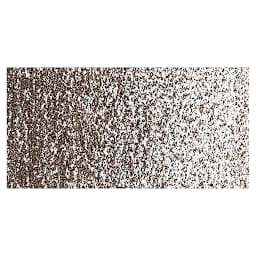 Sakura Cray-Pas Expressionist Oil Pastel - Sepia swatch