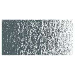 Caran d'Ache Neocolor II Aquarelle Artists' Pastel - Dark Gray swatch