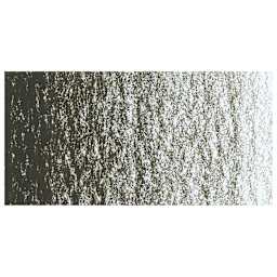 Caran d'Ache Neocolor II Aquarelle Artists' Pastel - Raw Umber swatch