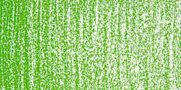 Art Spectrum Artists' Soft Pastel - Grass Green 573P swatch