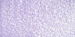 Sennelier Oil Pastel Grand - Cobalt Violet Light swatch