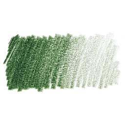 Prismacolor Premier Colored Pencil - Dark Green swatch