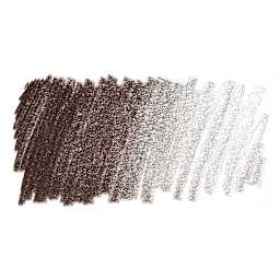Prismacolor Premier Colored Pencil - Dark Umber swatch