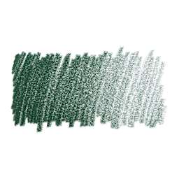 Faber-Castell Polychromos Pencil - Hooker's Green swatch