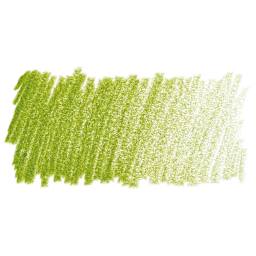 Faber-Castell Polychromos Pencil - Earth Green Yellowish swatch