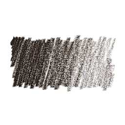 Faber-Castell Pitt Pastel Pencil - Dark Sepia swatch