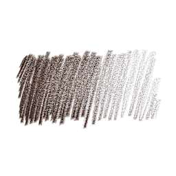 Caran d'Ache Pablo Colored Pencil - Sepia  swatch