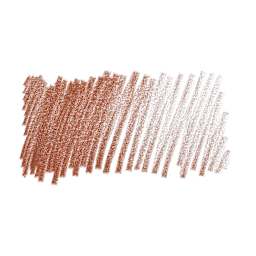 Caran d'Ache Pablo Colored Pencil - Brownish Orange swatch