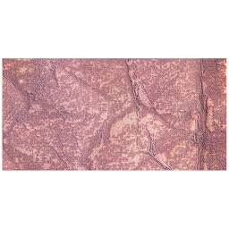 Ranger Tim Holtz Distress Ink Pad Re-Inker - Victorian Velvet swatch