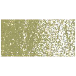 Caran d’Ache Neoart 6901 Pastel - Brown Olive 50%, swatch