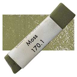Great American Handmade Pastel - Moss 1, 170.1 pastel and swatch