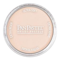 PanPastel Artists’ Painting Pastel - Red Iron Oxide Tint, 380.8