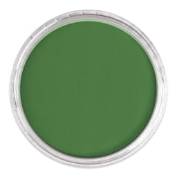 PanPastel Artists’ Painting Pastel - Permanent Green Shade, 640.3, lid off