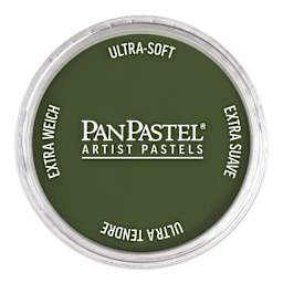 PanPastel Artists’ Painting Pastel - Chromium Oxide Green Shade, 660.3