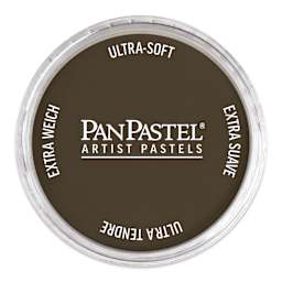 PanPastel Artists’ Painting Pastel - Raw Umber Shade, 780.3