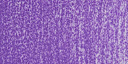 Holbein Artists' Soft Pastel - Violet 1 swatch