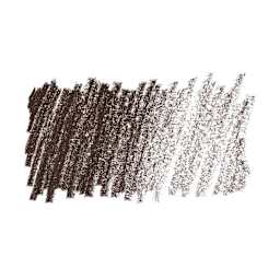 Caran d'Ache Pastel Pencil - Warm Earth 70% swatch