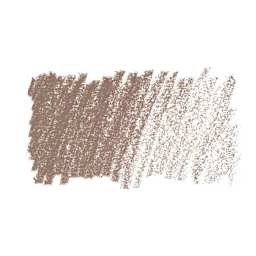 Caran d'Ache Pastel Pencil - Warm Earth 50% swatch