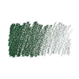 Caran d'Ache Pastel Pencil - Dark Green swatch