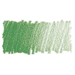 Blick Studio Artists' Colored Pencil - Sap Green swatch