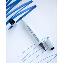 Copic Classic Markers have a fine point nib and chisel nib.