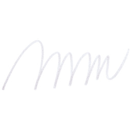 Caran d'Ache Fibralo Marker - Light Grey swatch