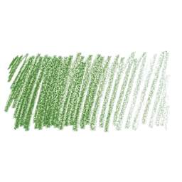 Irojiten Color Pencil - Cactus Green swatch