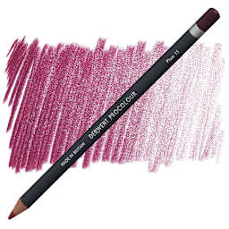 Derwent ProColour Colored Pencil - Plum pencil and swatch