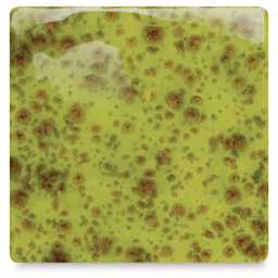 Mayco Jungle Gems Crystal Glaze - Pistachio, Cone 06 oxidation
