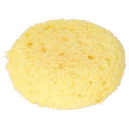 Royal & Langnickel Synthetic Artist Sponge - Medium - out of packaging