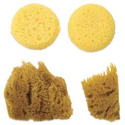 Royal & Langnickel Natural and Synthetic Artist Sponges - Pkg of 4 - contents