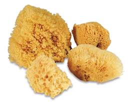 Royal & Langnickel Super Value Sponge Set