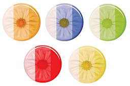 Castin’ Craft Transparent Resin Dyes - 5 colors available shown on Resin Daisy disk