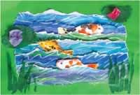 koi pond