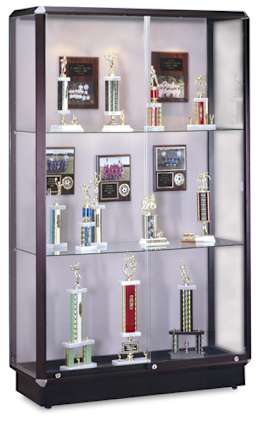 Waddell Prominence Display Case - left angle showing two glass shelves and Bronze frame