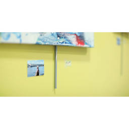 Walker System Plain Rod - Plated Steel, 60" - in use to hold up canvas
