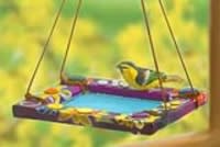 fauvism is for the birds